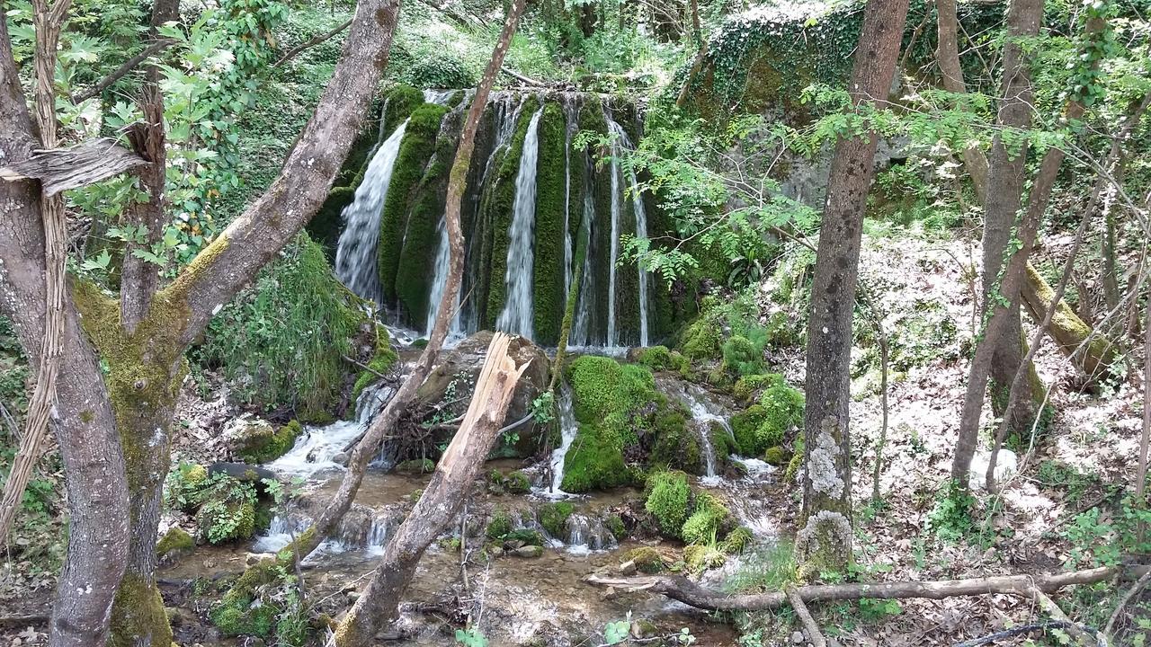 Kedros Chalet Agios Dimitrios  Exteriér fotografie