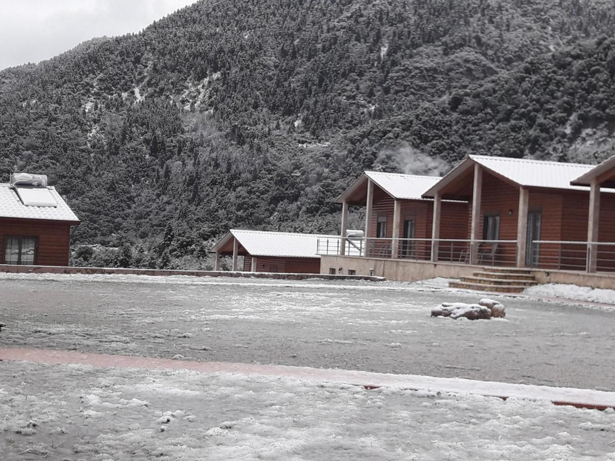Kedros Chalet Agios Dimitrios  Exteriér fotografie